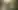 Optimization results