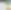 Comparison dialog window